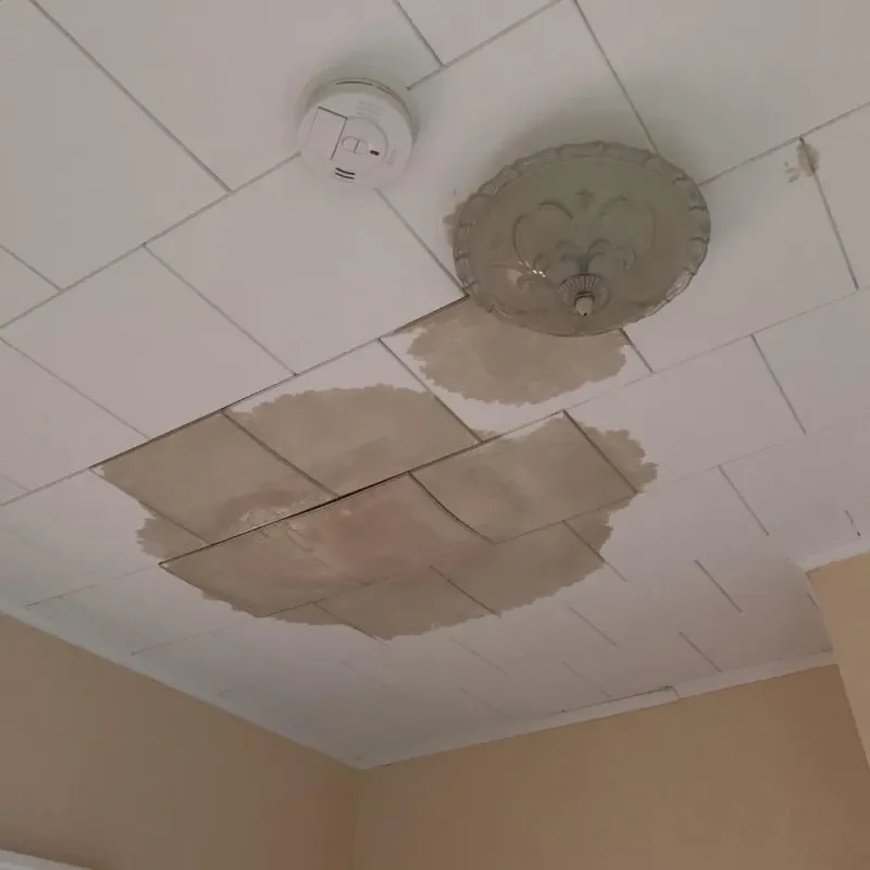 Ceiling Water Damage Repair in Gwinn, MI