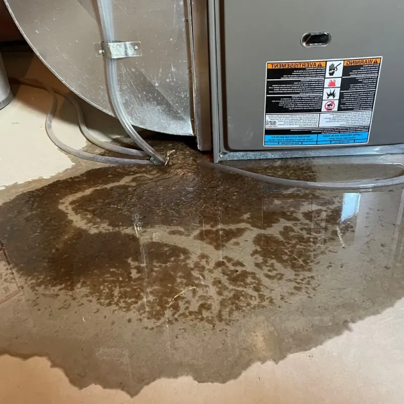 Pipe Burst and Leak Restoration in Gwinn, MI