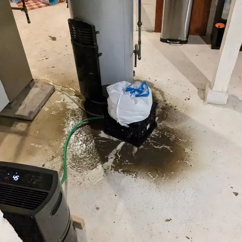 Sewage Backup Cleanup Service in Gwinn, MI